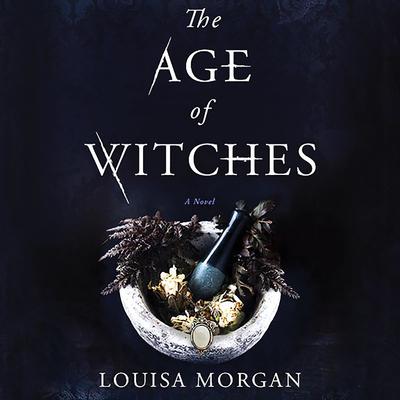 The Age of Witches: A Novel Audiobook, by 
