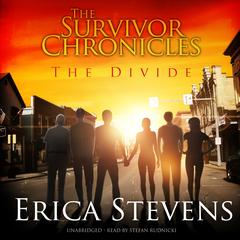 The Divide Audiobook, by Erica Stevens