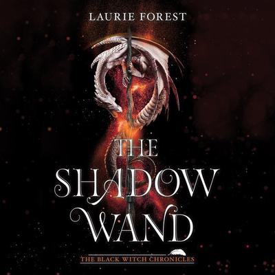 The Shadow Wand Audiobook, by 