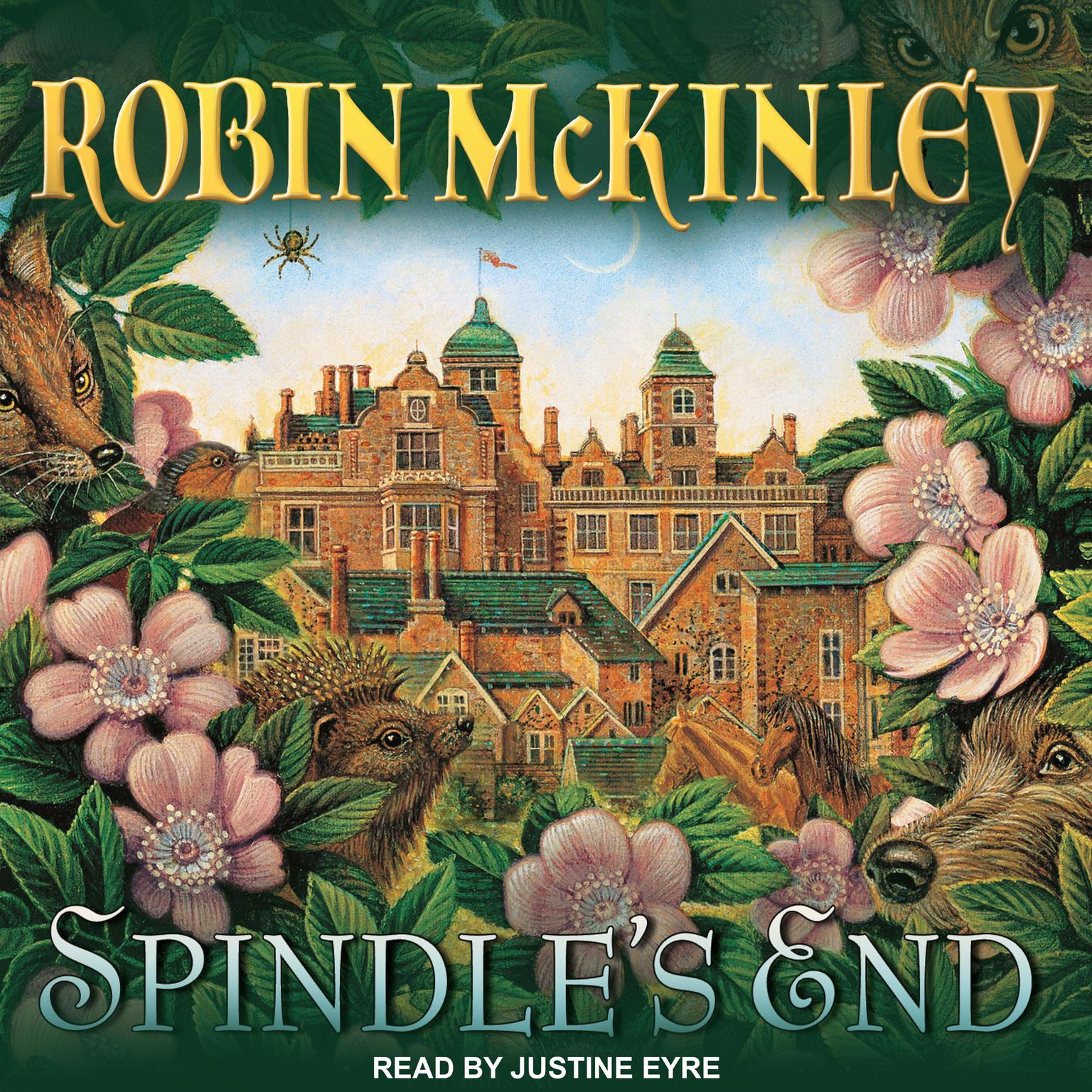 Spindles End Audiobook, by Robin McKinley