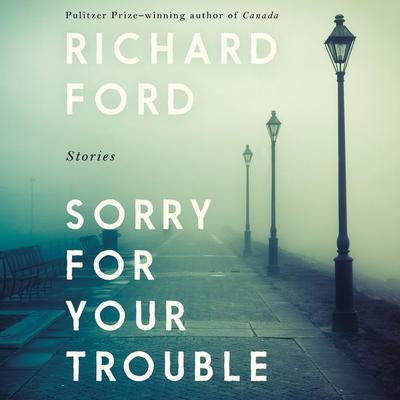 Sorry For Your Trouble: Stories Audiobook, by 