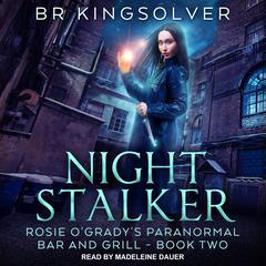 Night Stalker Audiobook, by B.R. Kingsolver