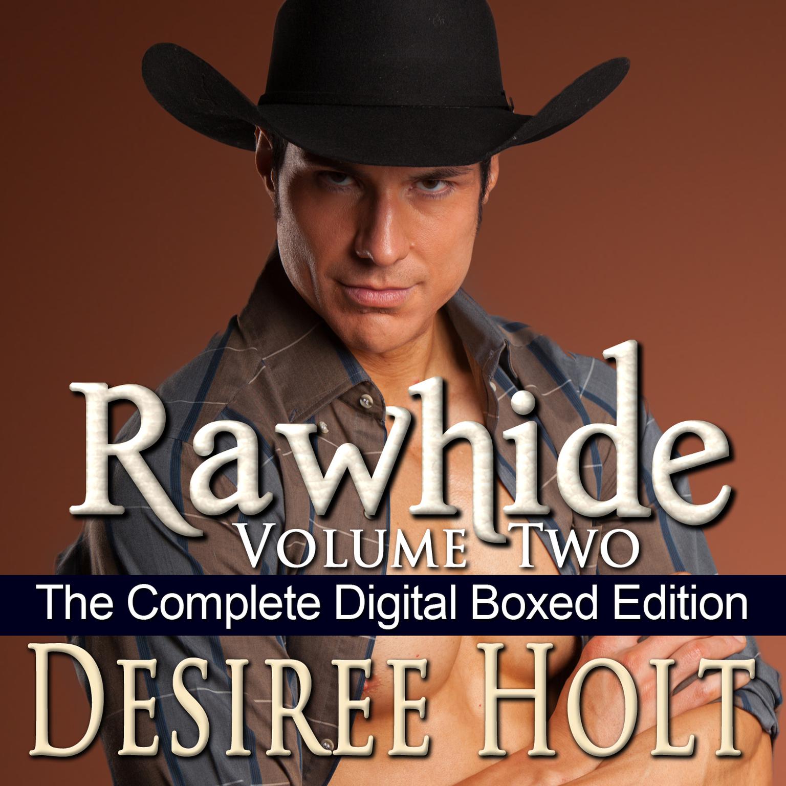 Rawhide, Volume Two Audiobook, by Desiree Holt