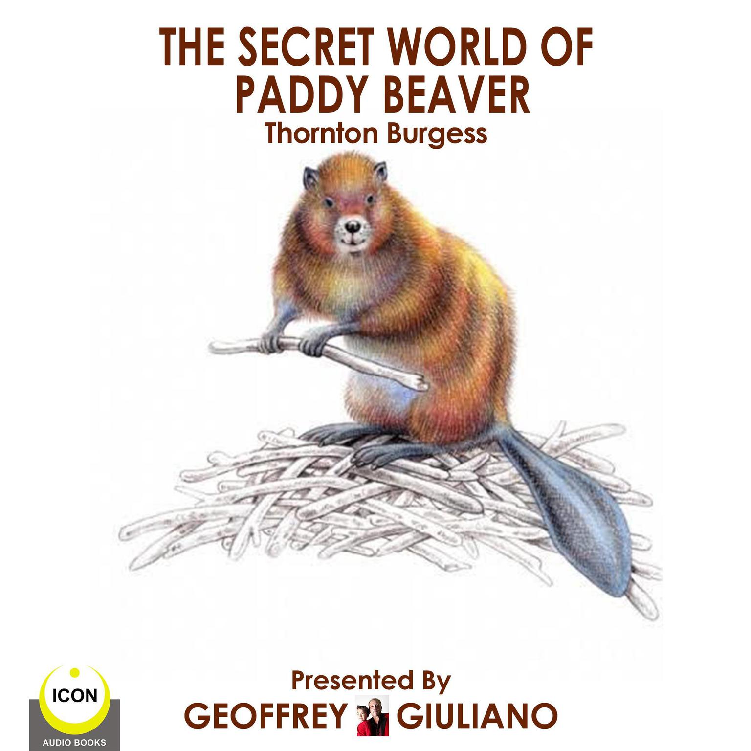 The Secret World Of Paddy Beaver Audiobook, by Thornton W. Burgess