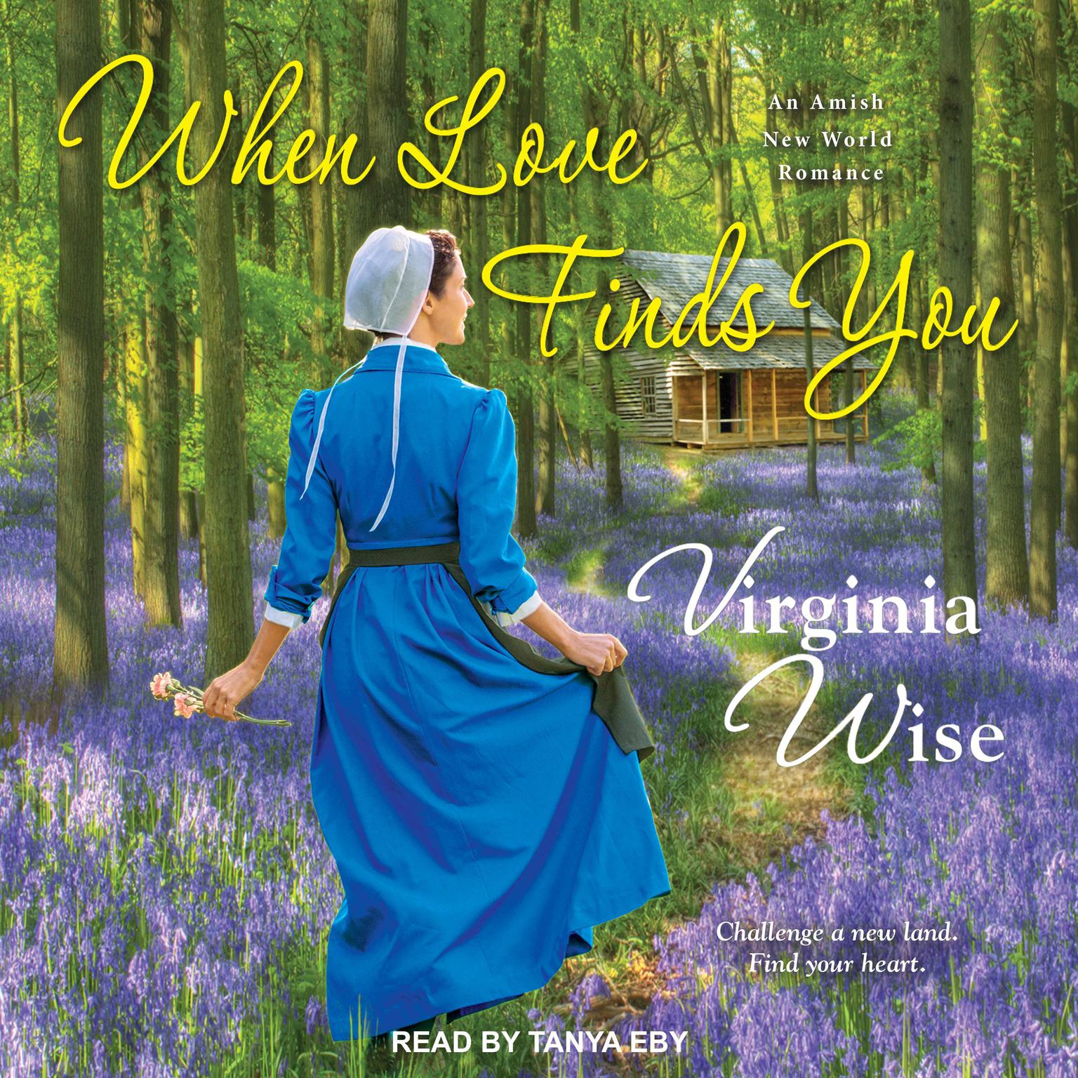 When Love Finds You Audiobook, by Virginia Wise
