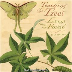 Teaching the Trees: Lessons from the Forest Audiobook, by Joan Maloof