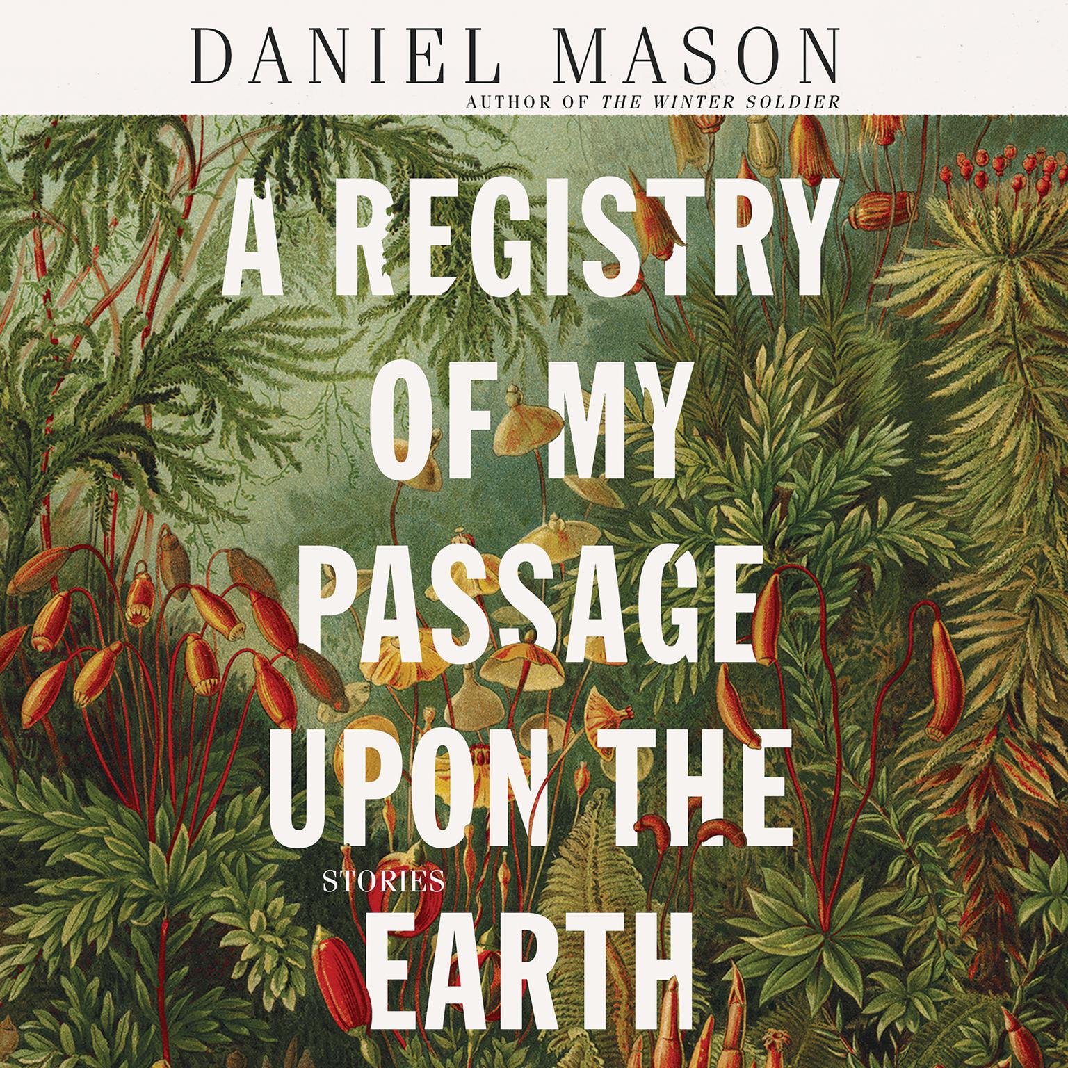 A Registry of My Passage upon the Earth: Stories Audiobook, by Daniel Mason