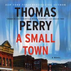 A Small Town Audiobook, by 