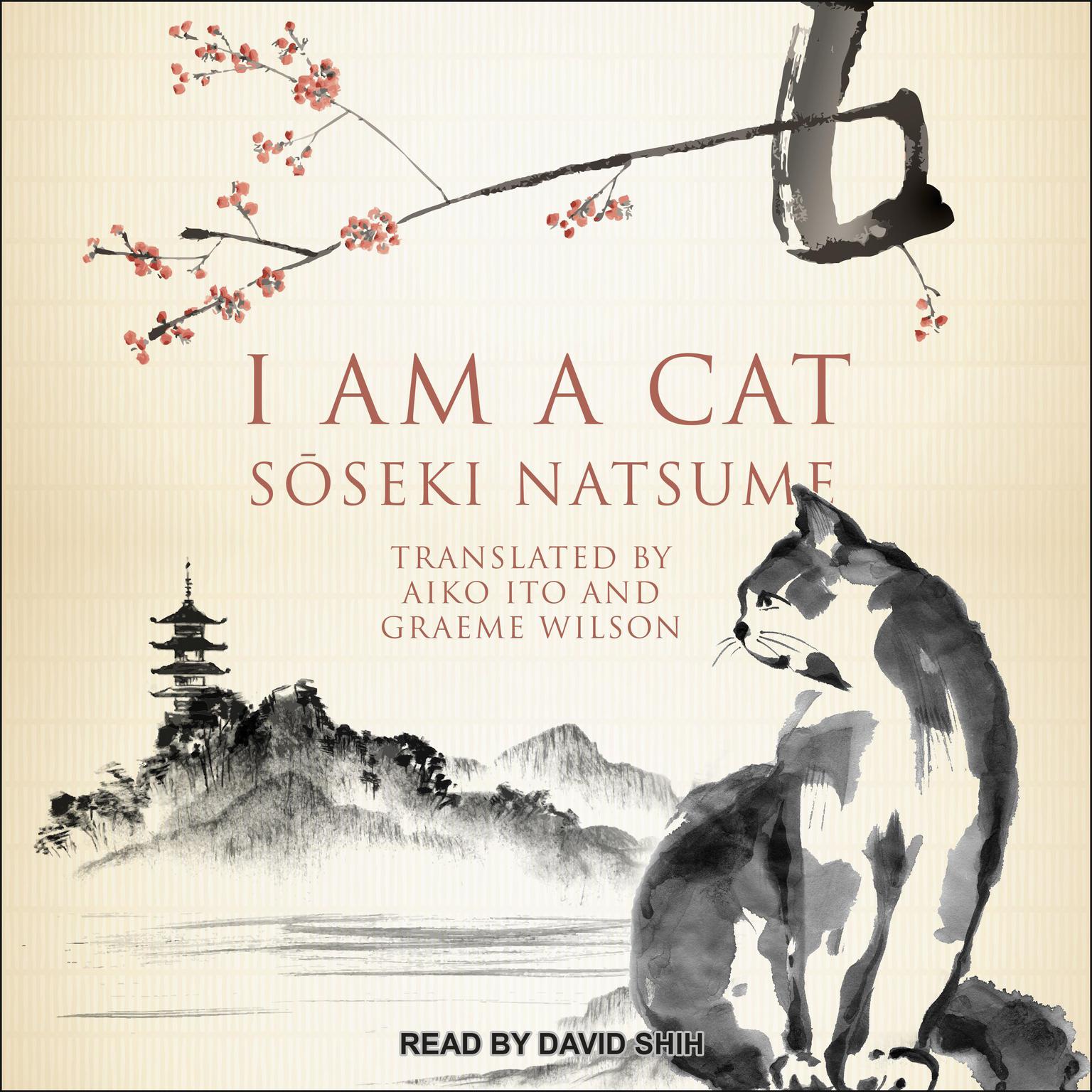 I Am A Cat Audiobook, by Soseki Natsume