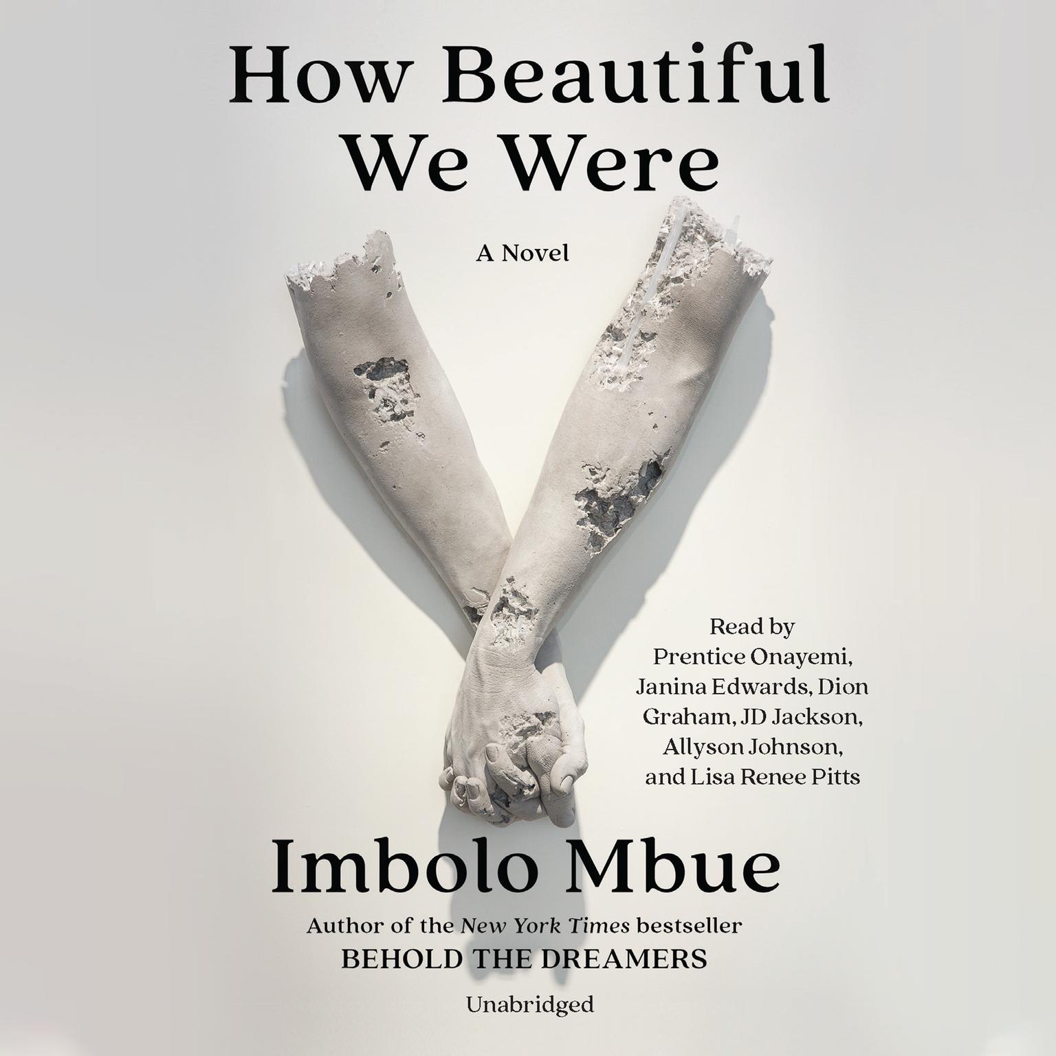 How Beautiful We Were: A Novel Audiobook, by Imbolo Mbue