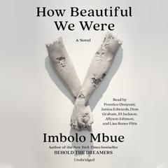 How Beautiful We Were: A Novel Audiobook, by 