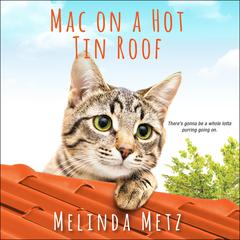 Mac on a Hot Tin Roof Audiobook, by Melinda Metz