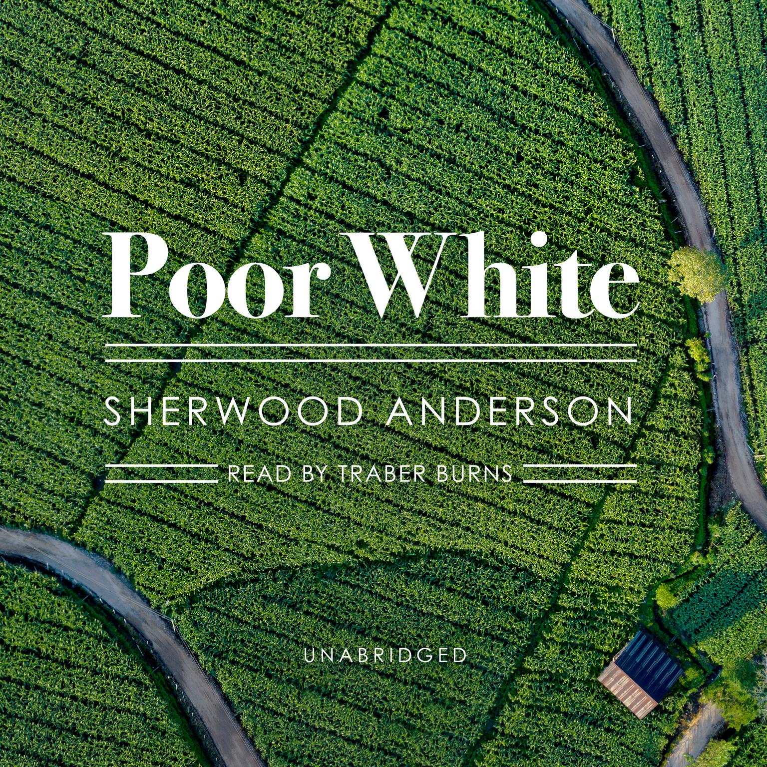Poor White Audiobook, by Sherwood Anderson