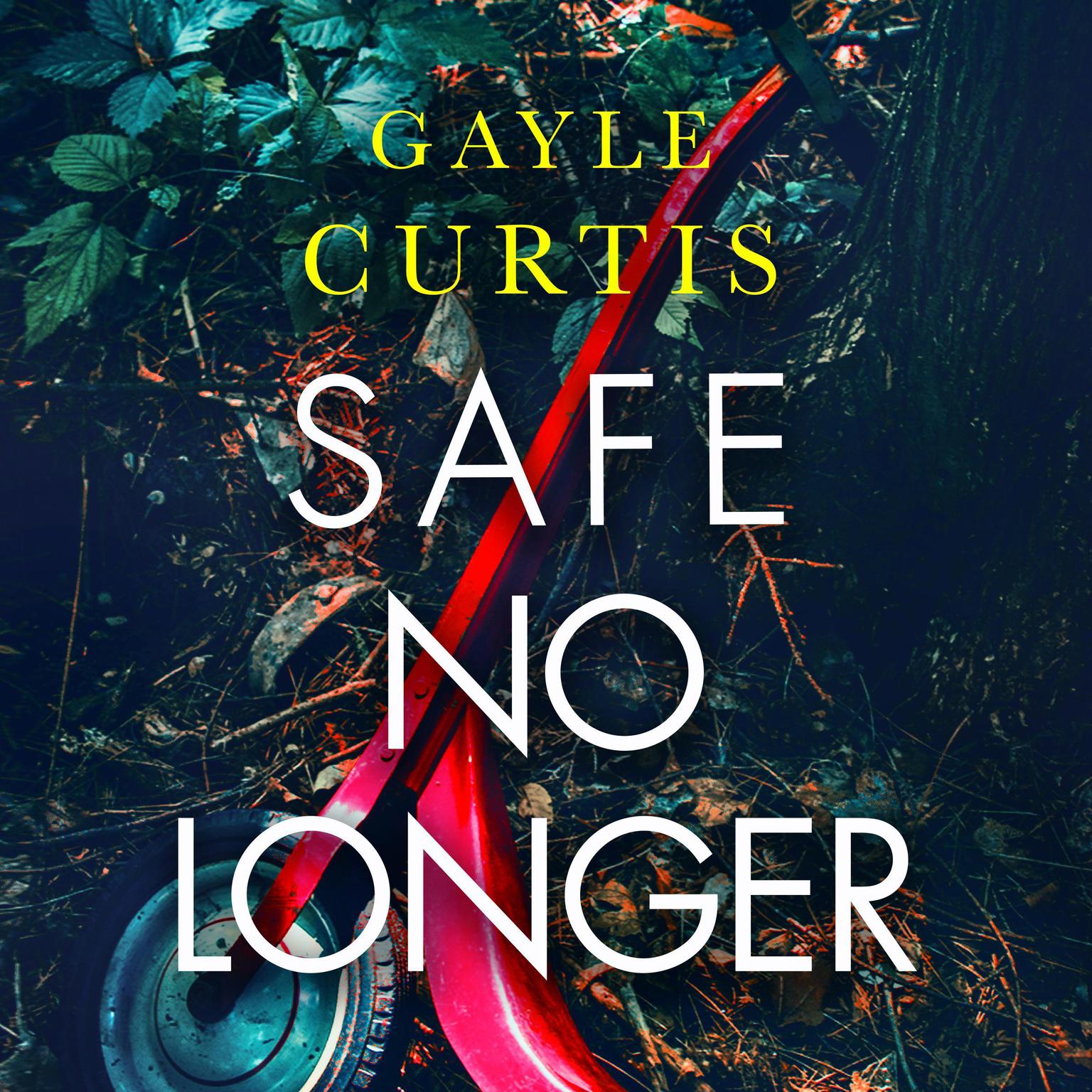 Safe No Longer Audiobook, by Gayle Curtis
