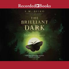 The Brilliant Dark Audiobook, by S.M. Beiko