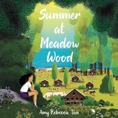 Summer at Meadow Wood Audiobook, by Amy Rebecca Tan