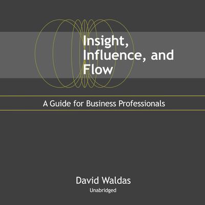 Insight, Influence, and Flow: A Guide for Business Professionals Audiobook, by 