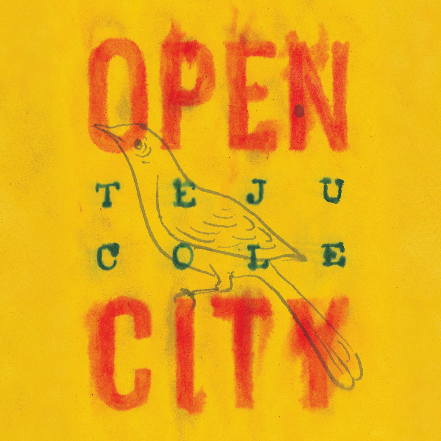 Open City: A Novel Audiobook, by Teju Cole