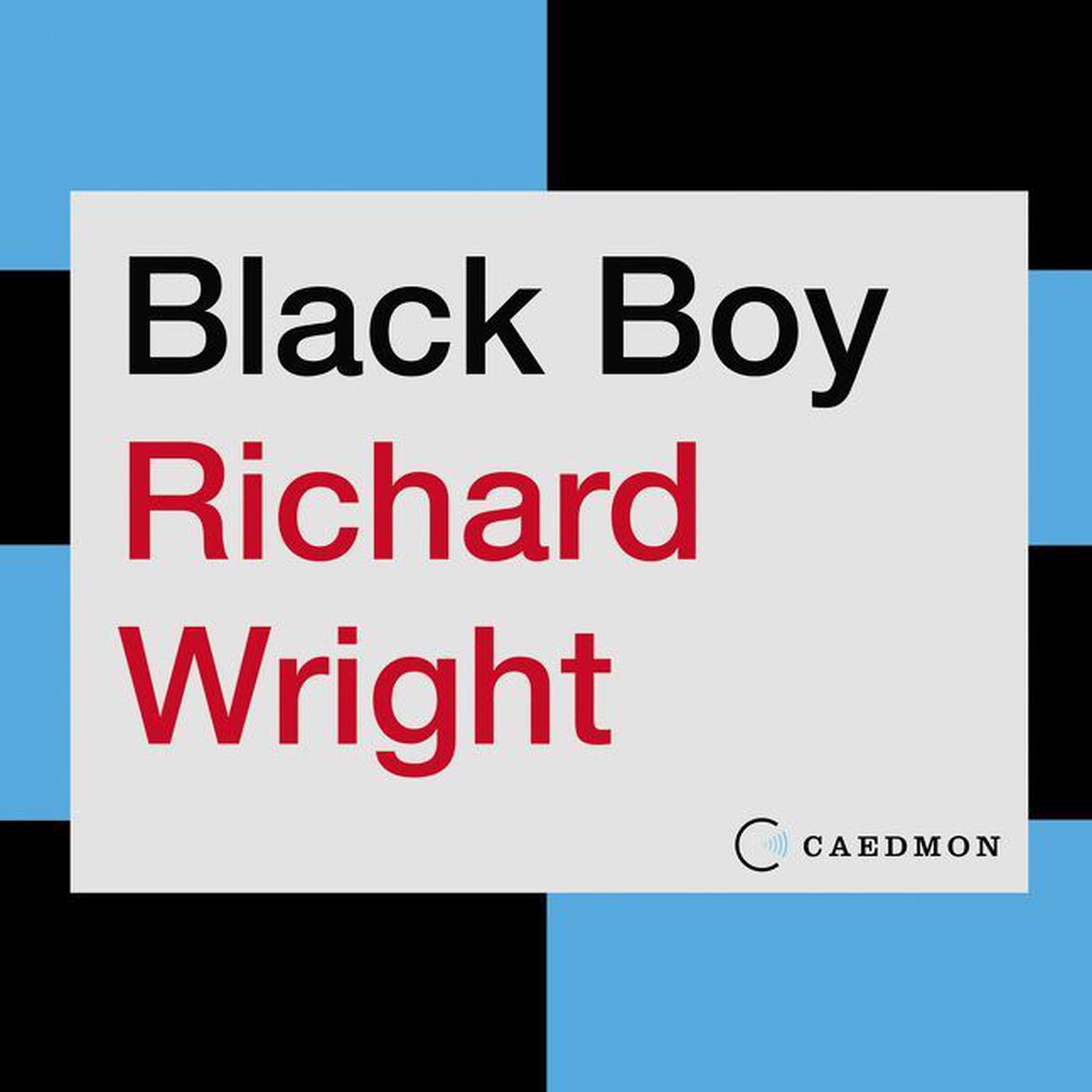 Black Boy Audiobook, by Richard Wright
