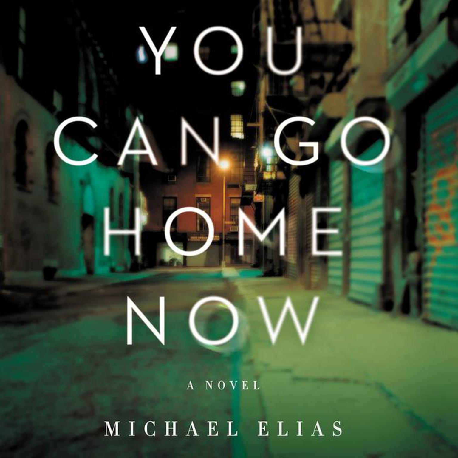 You Can Go Home Now: A Novel Audiobook, by Michael Elias
