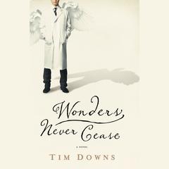 Wonders Never Cease Audiobook, by Tim Downs