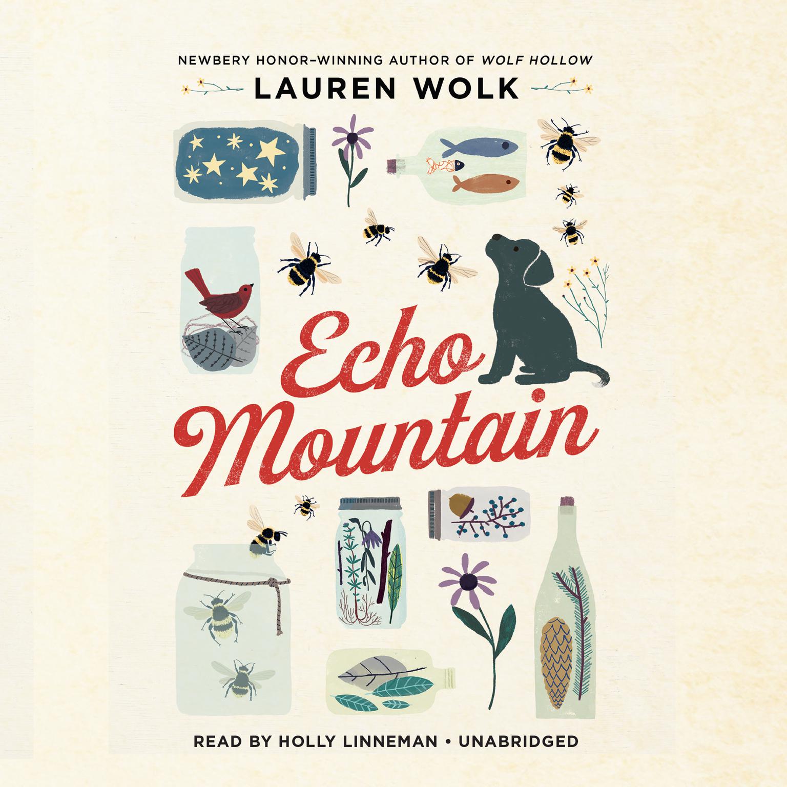 Echo Mountain Audiobook, by Lauren Wolk