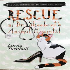 Rescue at Dr. Skeebeet’s Animal Hospital Audiobook, by Lorna Turnbull