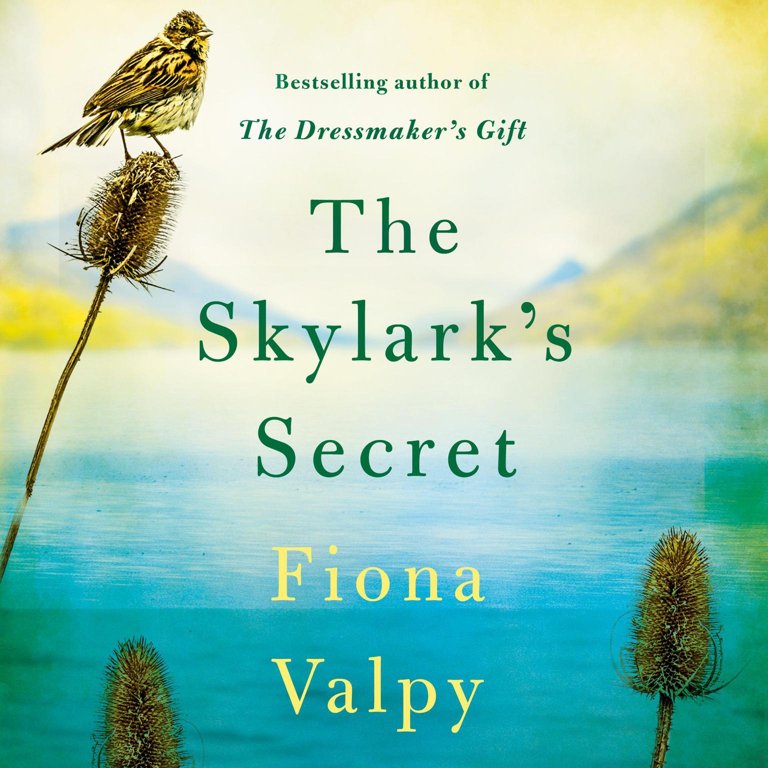 The Skylarks Secret Audiobook, by Fiona Valpy