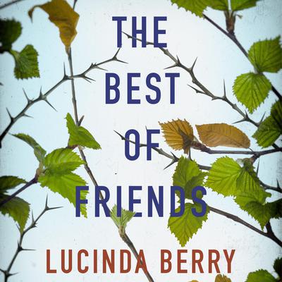The Best of Friends Audiobook, by Lucinda Berry