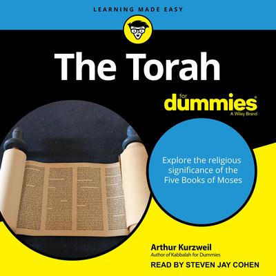The Torah For Dummies Audiobook, by 