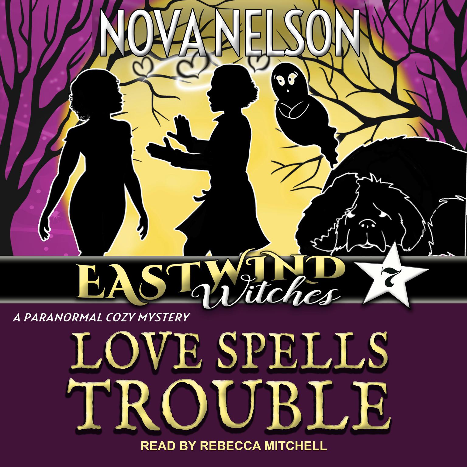 Love Spells Trouble Audiobook, by Nova Nelson