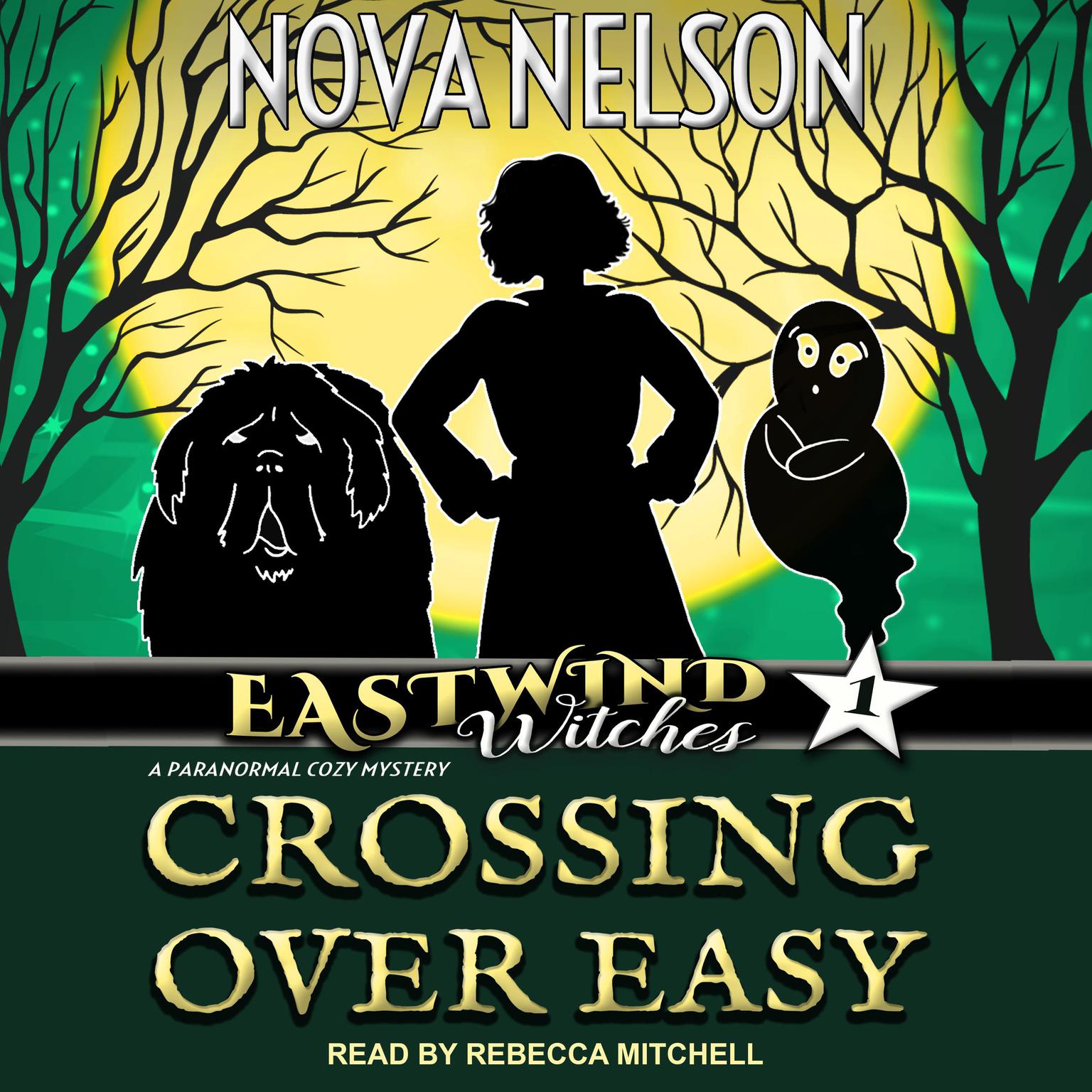 Crossing Over Easy Audiobook, by Nova Nelson