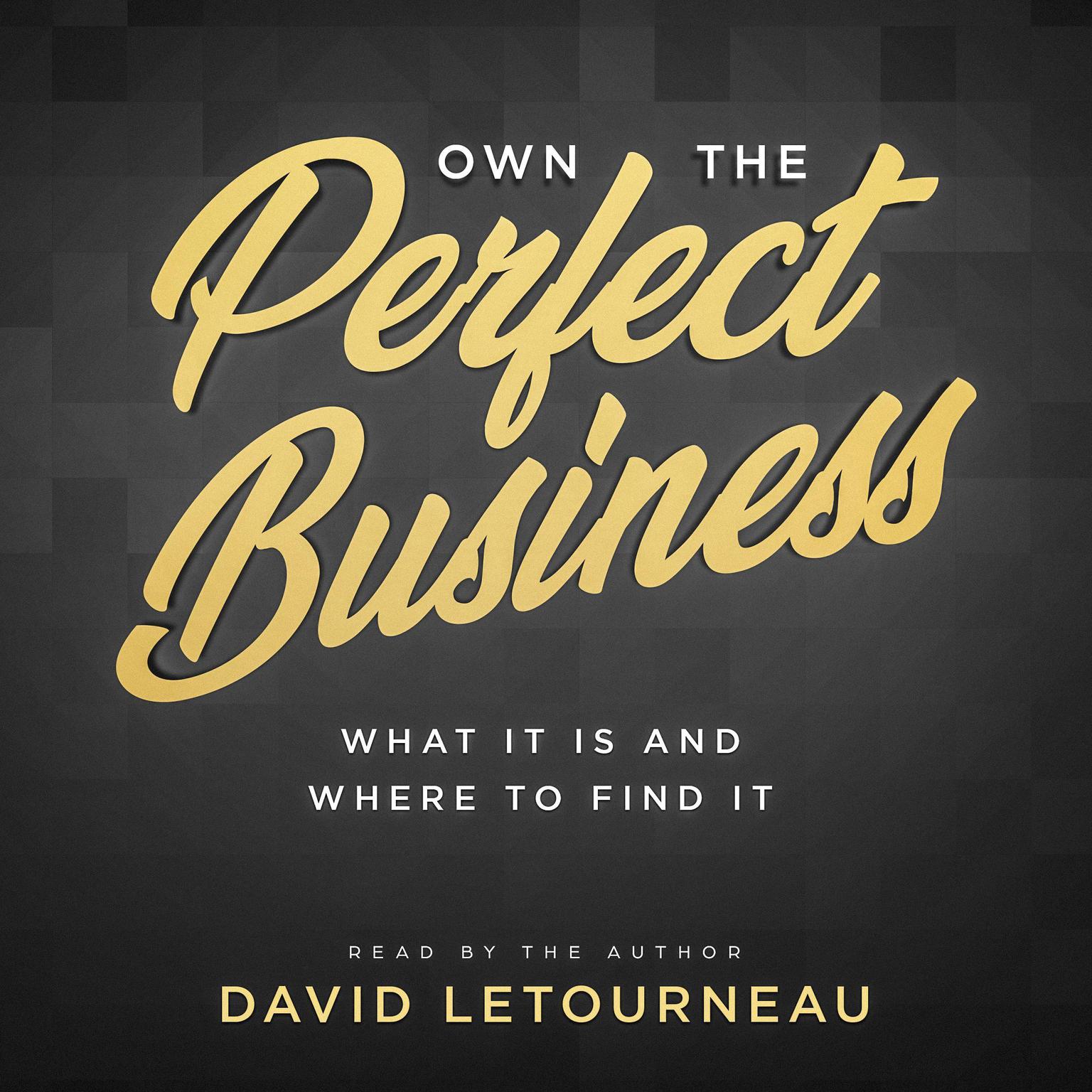 Own the Perfect Business: What It Is and Where to Find It Audiobook, by David Letourneau