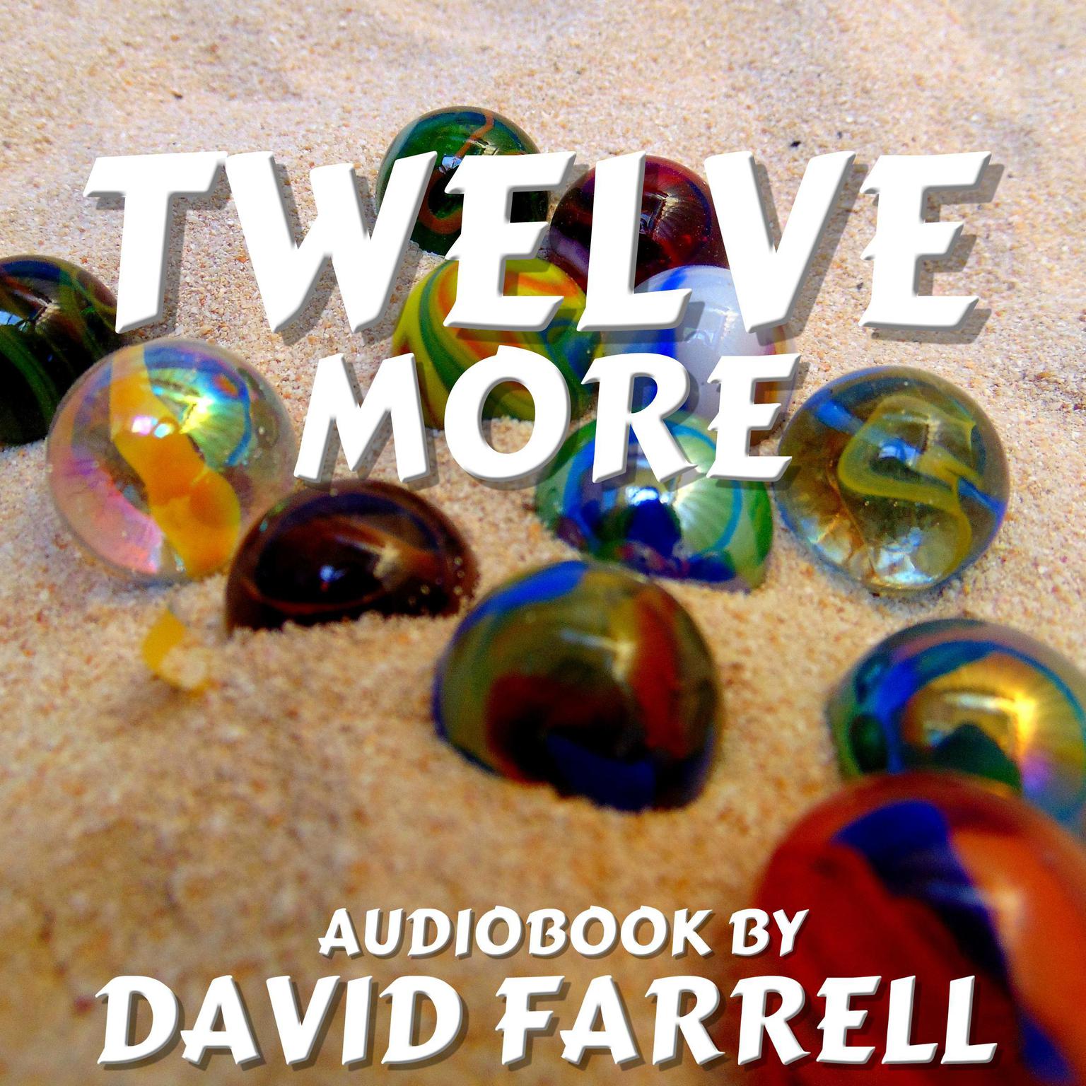 Twelve More Audiobook, by David Farrell