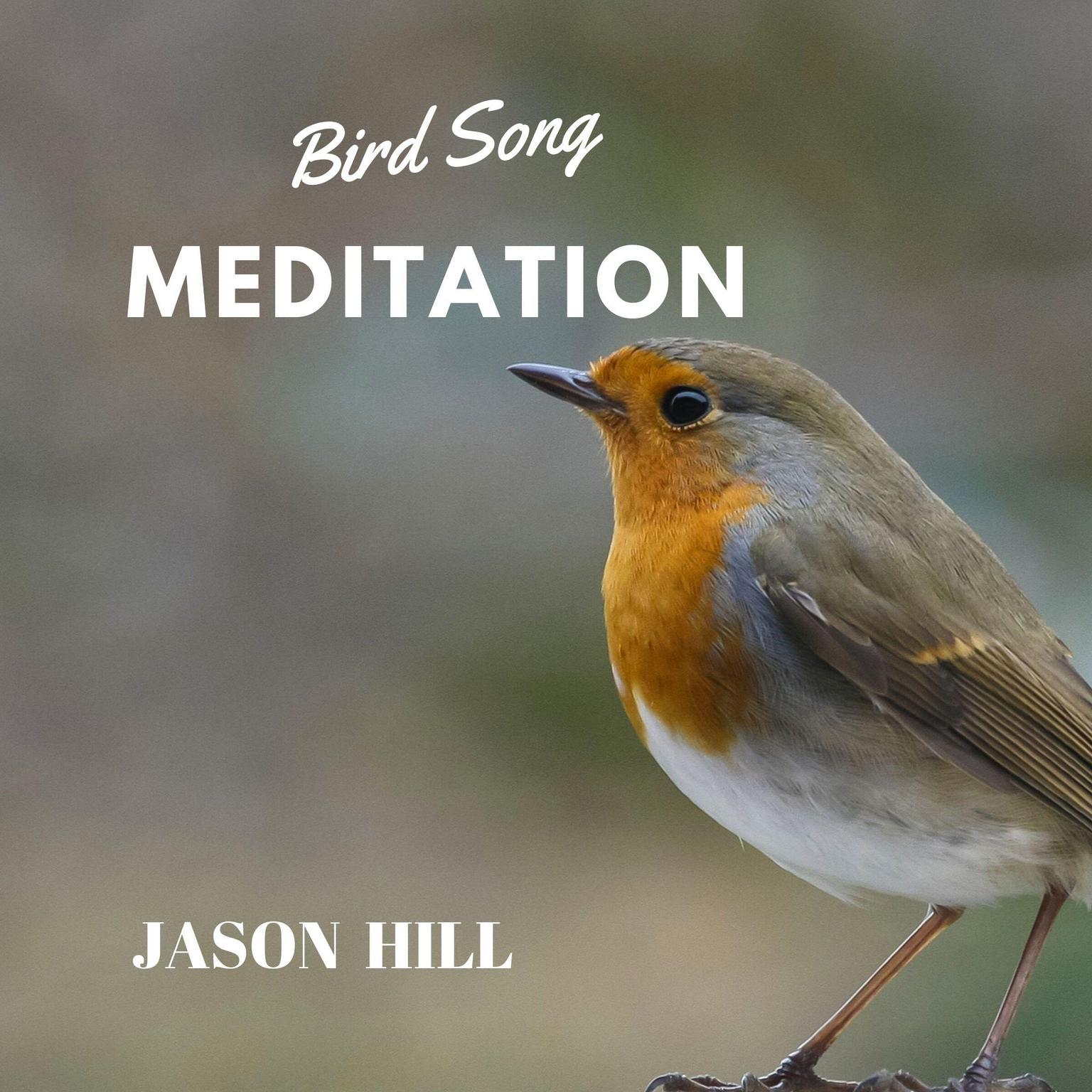 Bird Song Meditation Audiobook, by Jason Hill