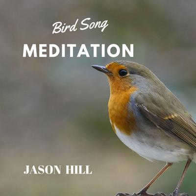 Bird Song Meditation Audiobook, by Jason Hill