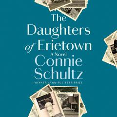 The Daughters of Erietown: A Novel Audiobook, by Connie Schultz