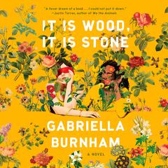 It Is Wood, It Is Stone: A Novel Audiobook, by Gabriella Burnham