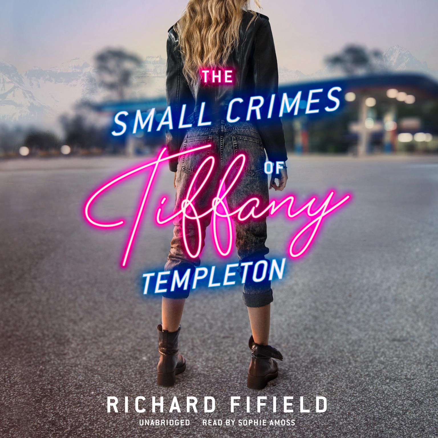The Small Crimes of Tiffany Templeton Audiobook, by Richard Fifield