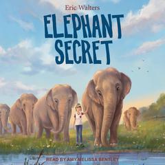 Elephant Secret Audiobook, by Eric Walters