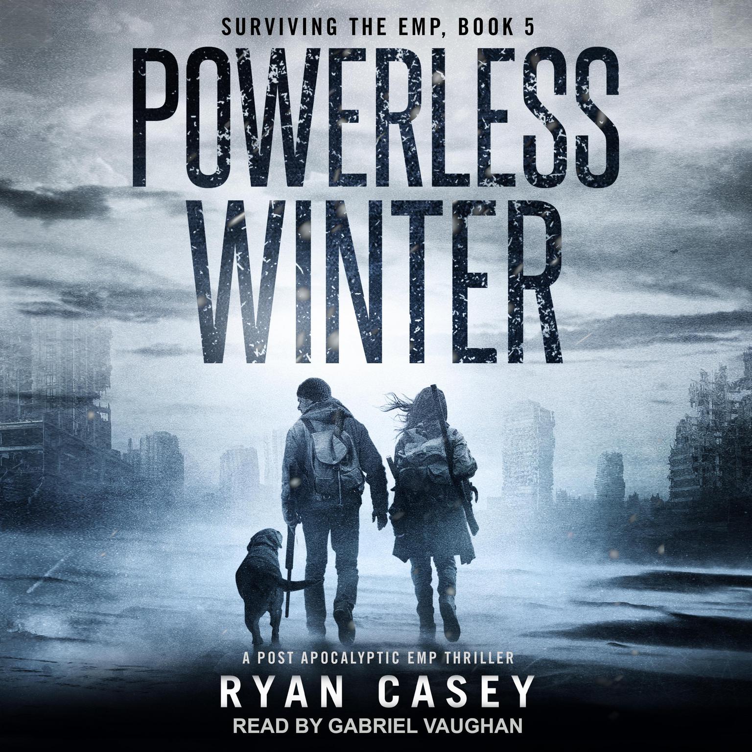 Powerless Winter: A Post Apocalyptic EMP Thriller Audiobook, by Ryan Casey