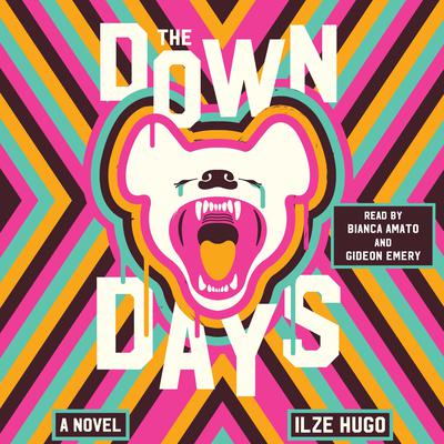 The Down Days Audiobook, by Ilze Hugo
