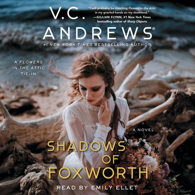 Shadows of Foxworth Audiobook, by V. C. Andrews