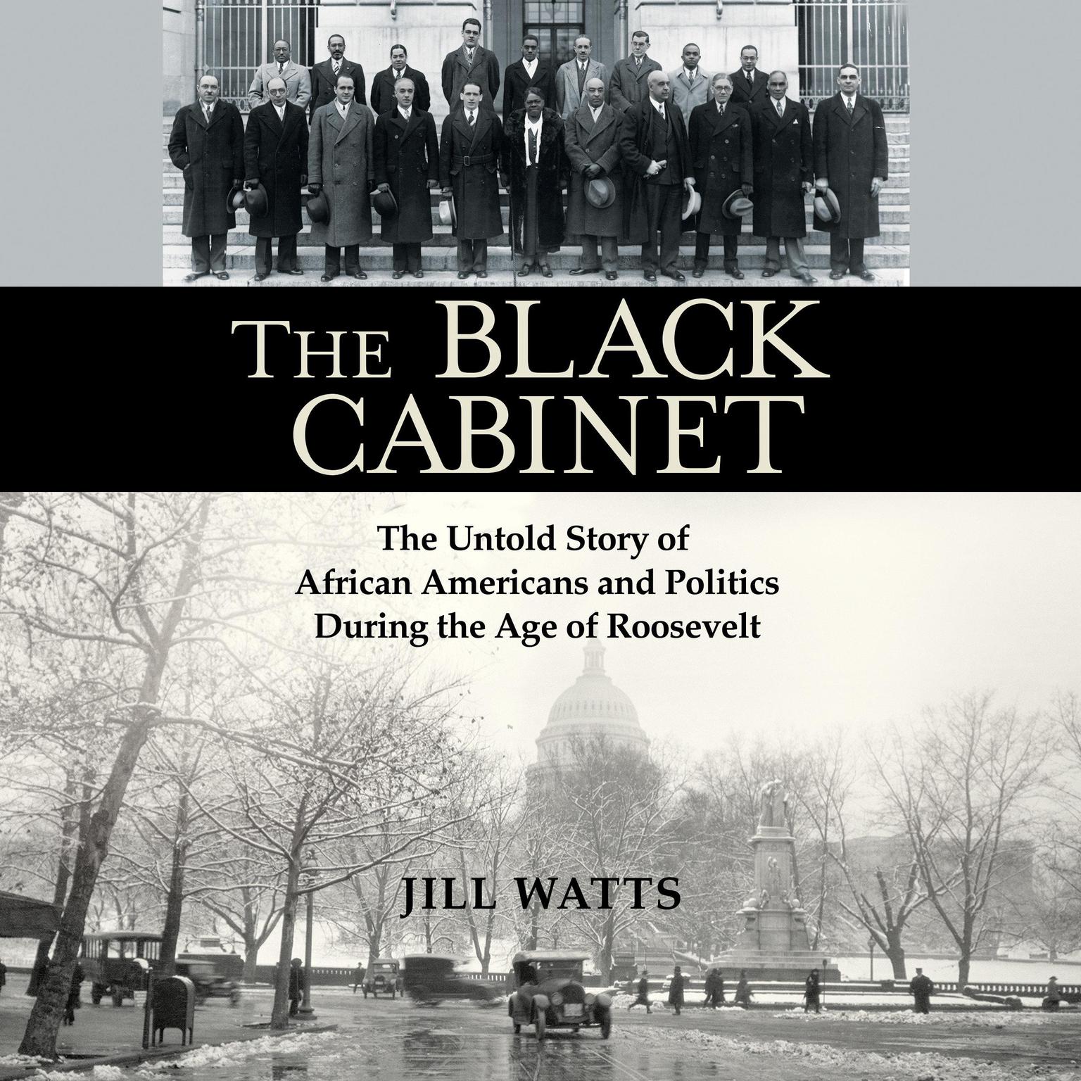 The Black Cabinet: The Untold Story of African Americans and Politics During the Age of Roosevelt Audiobook, by Jill Watts