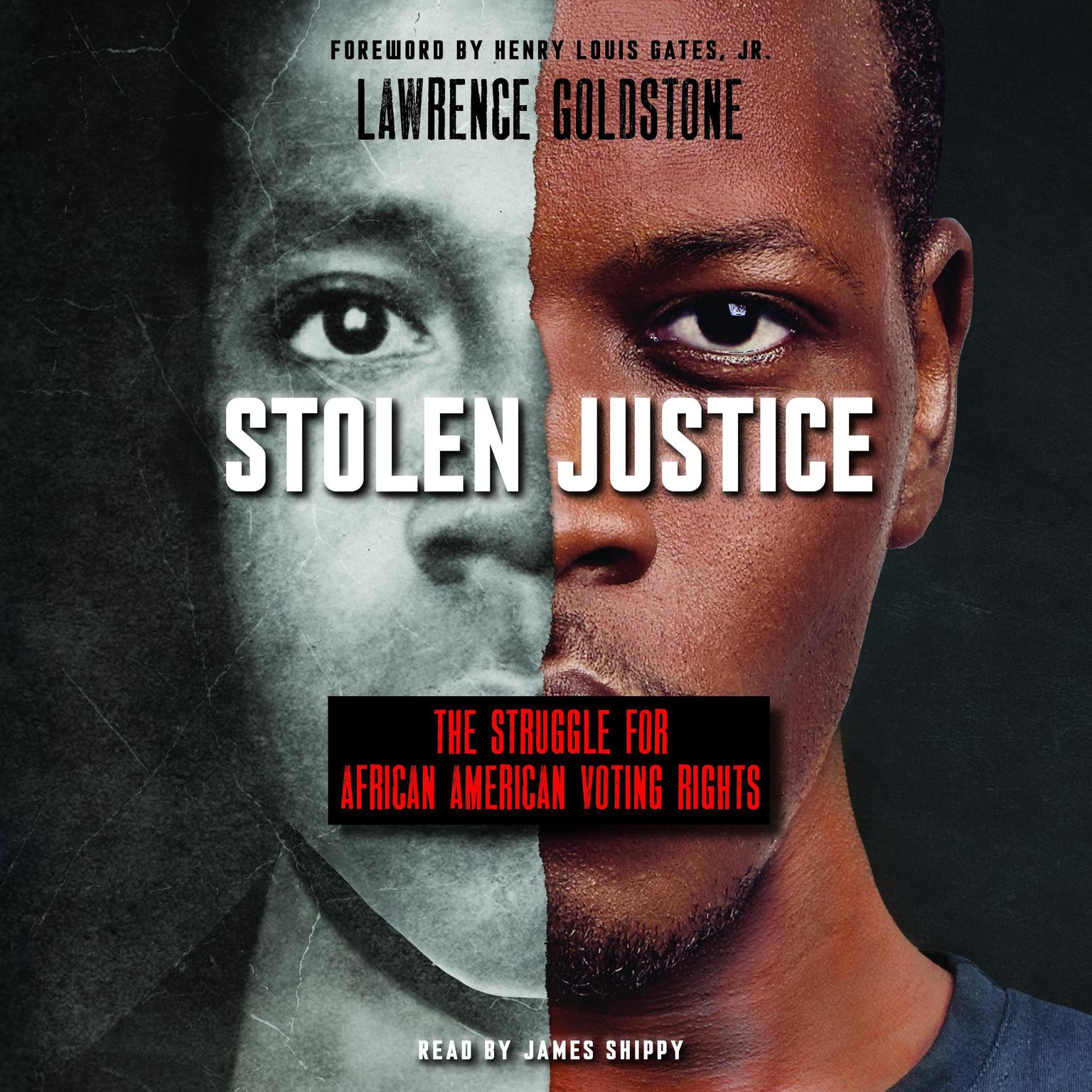 Stolen Justice: The Struggle for African American Voting Rights (Scholastic Focus): The Struggle for African American Voting Rights Audiobook, by Lawrence Goldstone