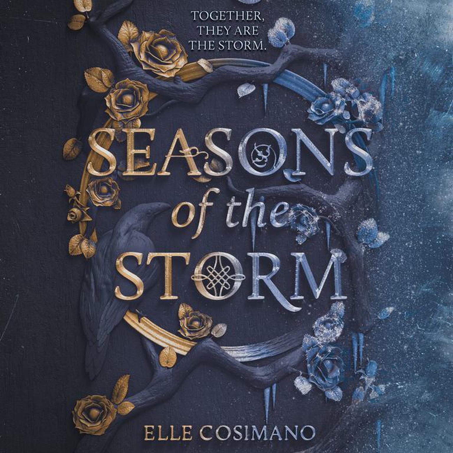 Seasons of the Storm Audiobook, by Elle Cosimano