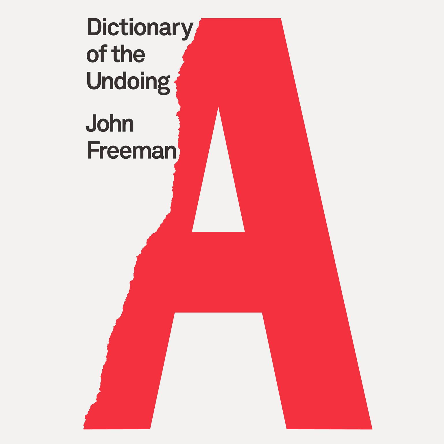 Dictionary of the Undoing Audiobook, by John Freeman