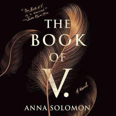 The Book of V.: A Novel Audiobook, by Anna Solomon