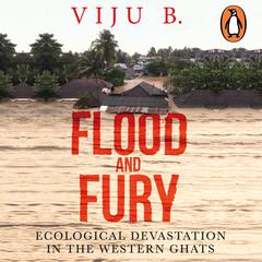 Flood and Fury Audiobook, by B Viju