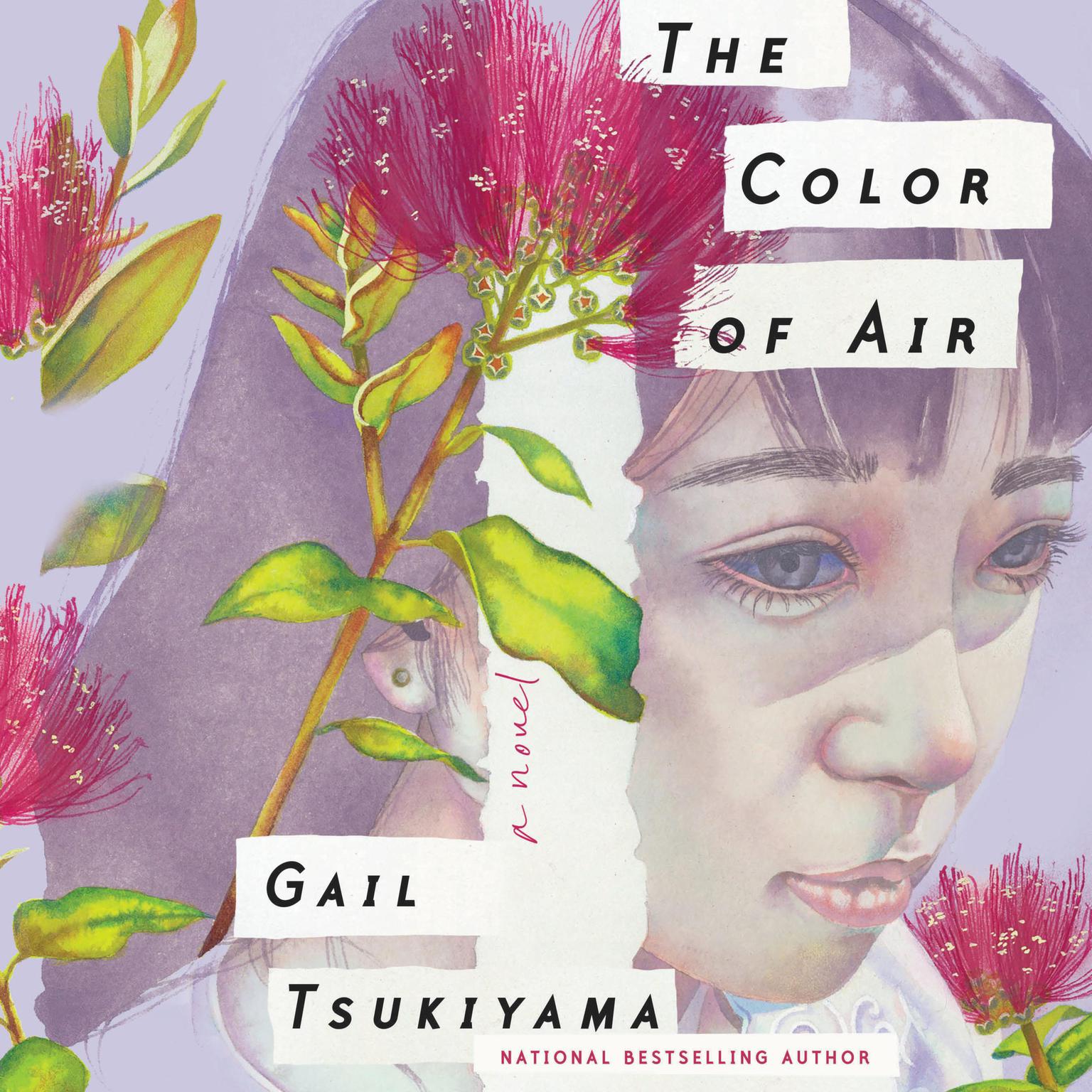 The Color of Air: A Novel Audiobook, by Gail Tsukiyama